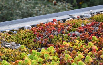 the cost of Old Polmont green roof installation