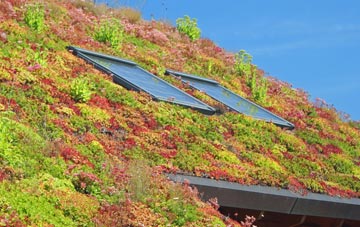 Old Polmont living roof systems