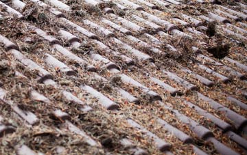 Old Polmont roof cleaning companies