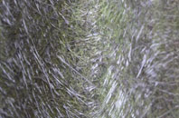 Old Polmont fibreglass roof work